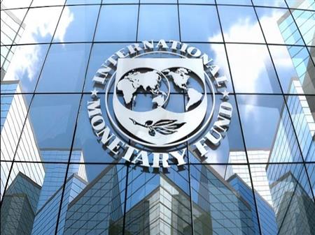 صندوق بین‌المللی پول آمار رئیس سازمان برنامه را تایید کرد
